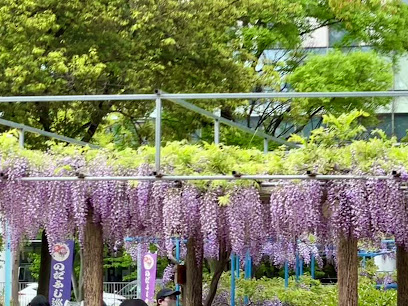 Shimo-Fukushima Park