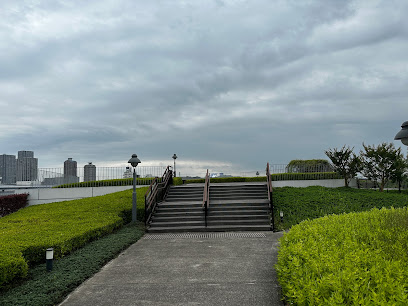 Rooftop garden