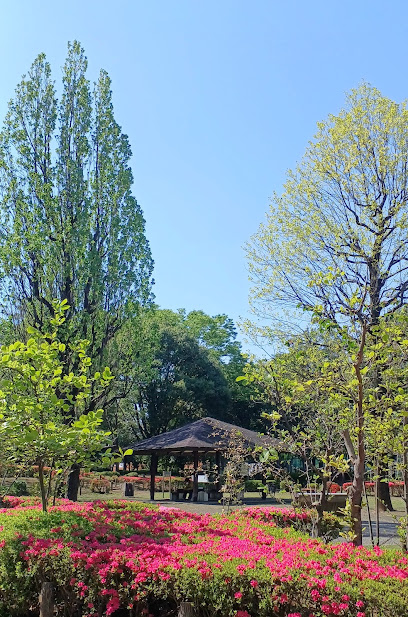 四季の香公園 マグノリア園