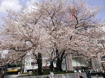 Kanezuka Park