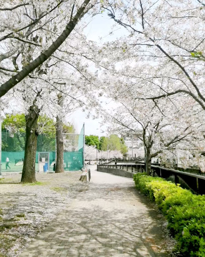 Nakano Kuritsu Myoshojigawa Park