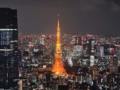 Tokyo City View