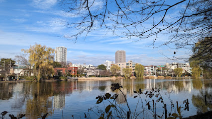 Shakujii Park