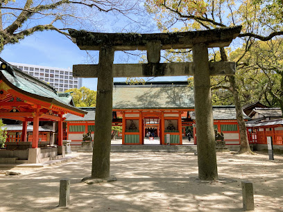Mikado