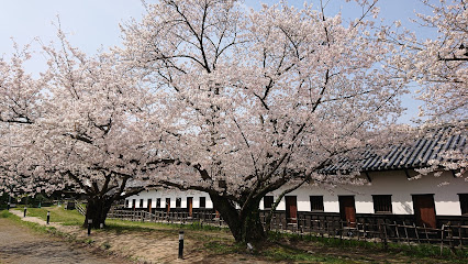 Sakura Garden