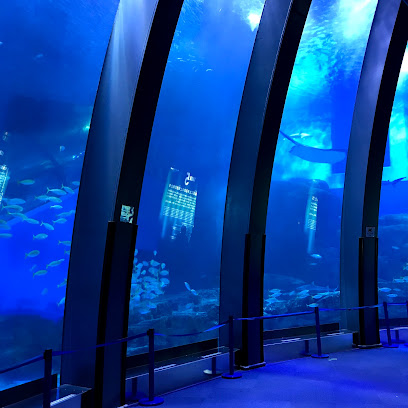 Yokohama Hakkeijima Sea Paradise