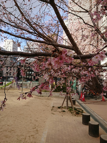 Kyuuhou Park