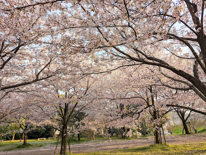 Yodogawa River Park