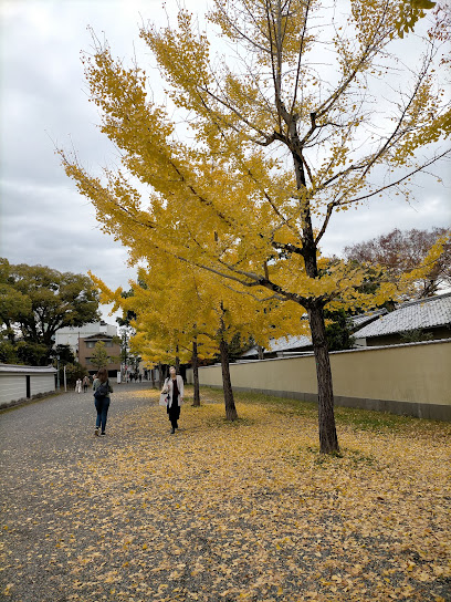 Sawaragi Entrance