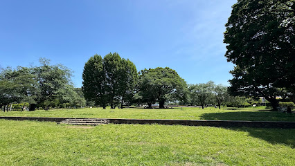 伽藍中枢部北辺区画 築地塀·溝跡