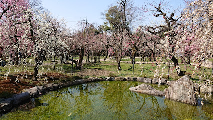 Baien (Ume Blossom Garden)