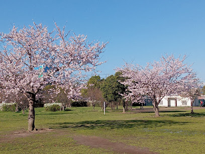 Nakada Central Park