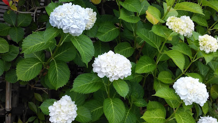 Chokojiminami Park