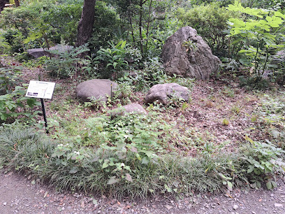 恋ヶ窪廃寺跡の礎石