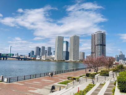 Harumibashi Park