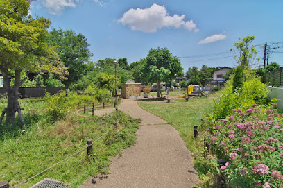 Setagaya Kuritsu Sakuragifureai Ryokuchi Park