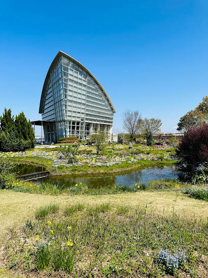Nagoya Port Bluebonnet Wildflower Garden