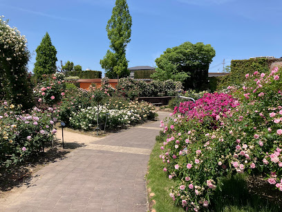 Rose Garden