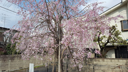 Kawasemi Park