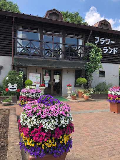 Flower Land