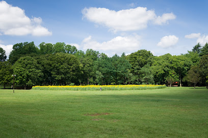 Koganei Park Children's Square