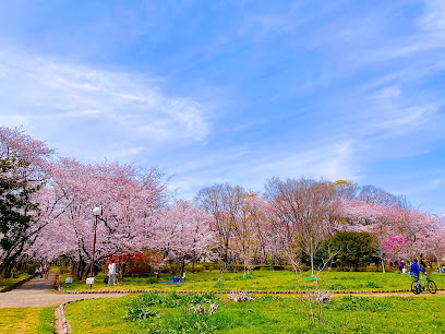 Magnolia Garden