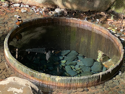 Kiyomasa's Well