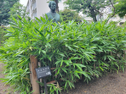 スエコザサ