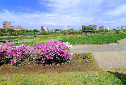 Koiwa Shobu Garden