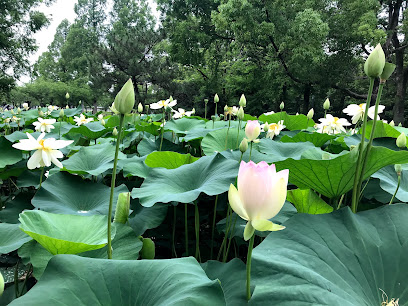 Hyotan Pond