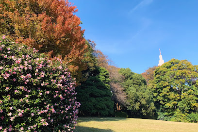 Treasure Hall Lawn
