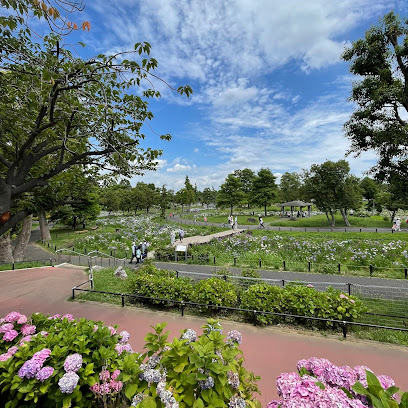 Iris Garden