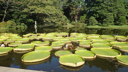 Jindai Botanical Gardens