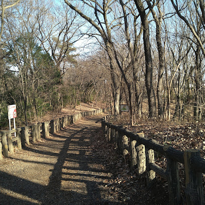 Higashiyamato Park