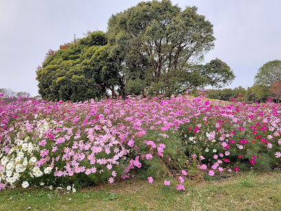 虹の花壇