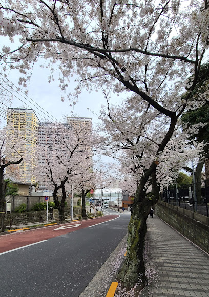 Godenzaka slope