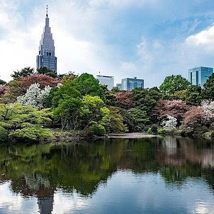 Ninja Trick House In Tokyo