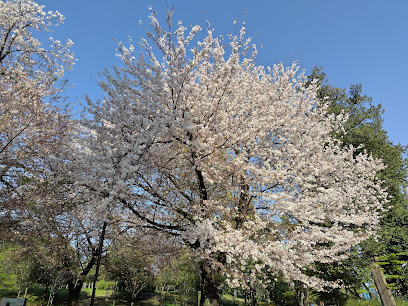 Inokashira Park Cultural Exchange Square