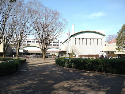Kinuta Park