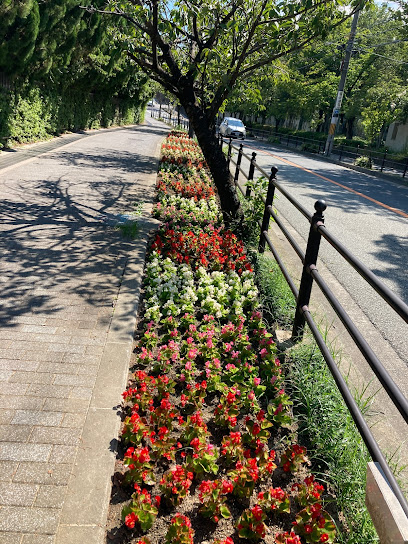 季節の花壇