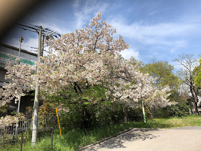 Ikegami Shinden Park