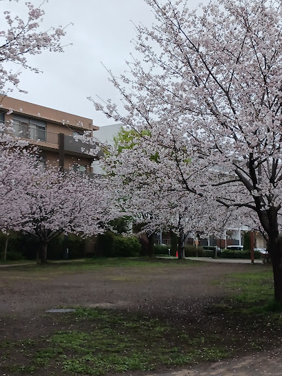 Ryoketateno Park