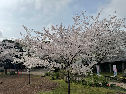飛鳥山公園 多目的広場