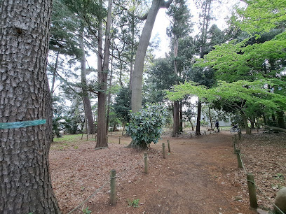 Nishinogawa Forest