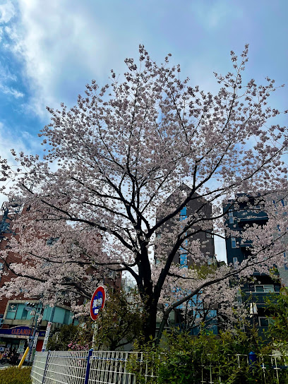 Toshima Kuritsu Miyanaka Park