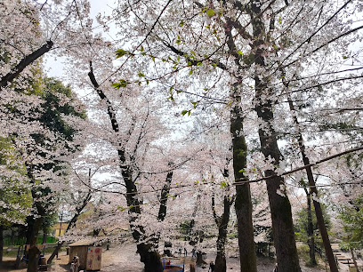Hanegi Play Park