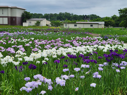 Tagajo Castle Site Ayame Garden