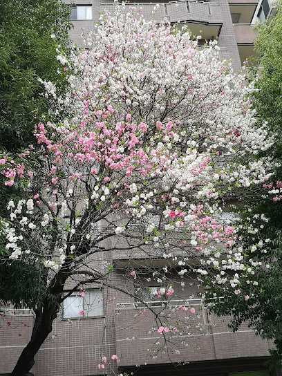 Tsutsujigaoka Sanchome Park