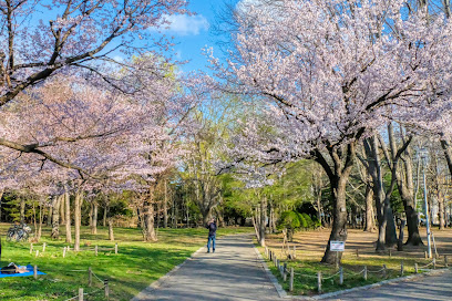 Maruyama Park