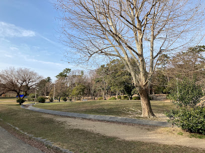 ちかくの森